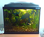 Aqua Szut 2