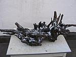 IMG 8833