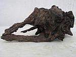 IMG 8800