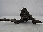 IMG 8806