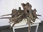 IMG 8824