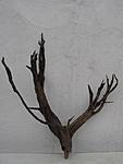 IMG 8814