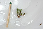 IMG 9945 2