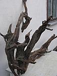 IMG 8819