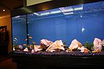 IMG 3192