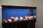 IMG 3185