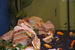 IMG 3223