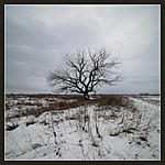      . 
Nikon D90, 
Tokina AF 11-16 f2.8 AT-X PRO DX 
iso200, 1/20, f5,6 
   ...
