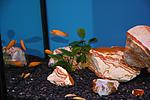 IMG 3229