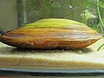 IMG 2883