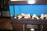 IMG 3233