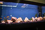 IMG 3184