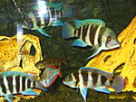IMG 0055