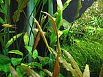 IMG 9992aa