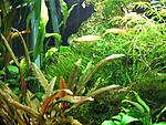 IMG 9998a
