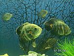 PICT0457