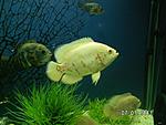 PICT0449