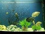 PICT0444
