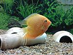 PIC 0264