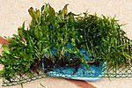 IMG 0032 2