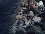 IMG 0062