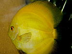 IMG 1563