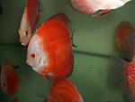 CIMG0078