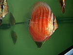 CIMG0025