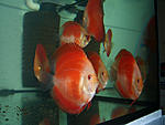 CIMG0022