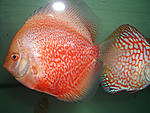 CIMG0110
