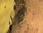 IMGA0841