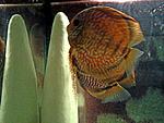DSC00047