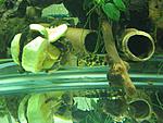 IMG 4282