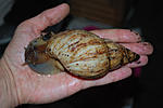DSC 0017