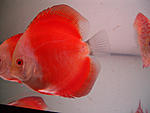 CIMG0098