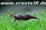 IMG 1880
