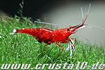 IMG 4769
