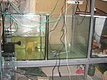 IMG 1002