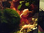 DSC00220
