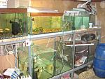 IMG 0996