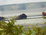 P5140059 resize