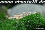 IMG 4152