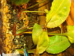DSC05906