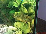 DSC01838