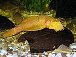 IMG 0119