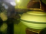 IMG 022611