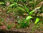 Photo 0010
