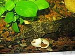 IMG 0266[1]