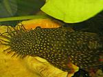 IMG 0257[1]