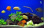 500liters